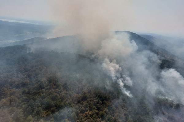 Požar na Krasu omejili, razmere pod nadzorom
